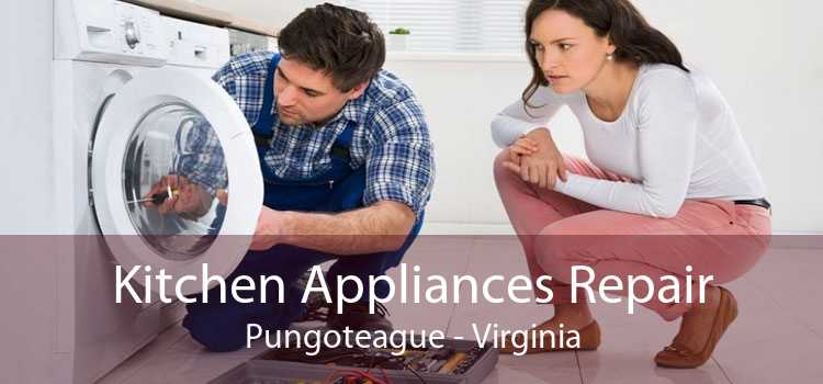 Kitchen Appliances Repair Pungoteague - Virginia