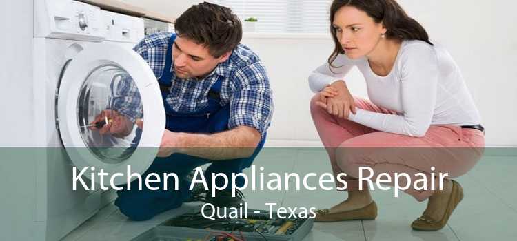 Kitchen Appliances Repair Quail - Texas
