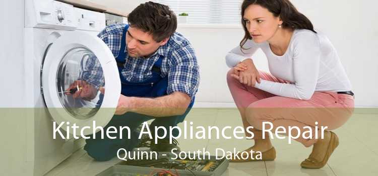 Kitchen Appliances Repair Quinn - South Dakota