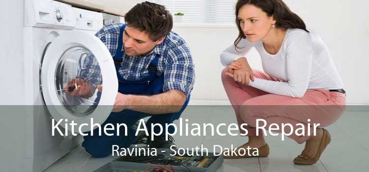 Kitchen Appliances Repair Ravinia - South Dakota