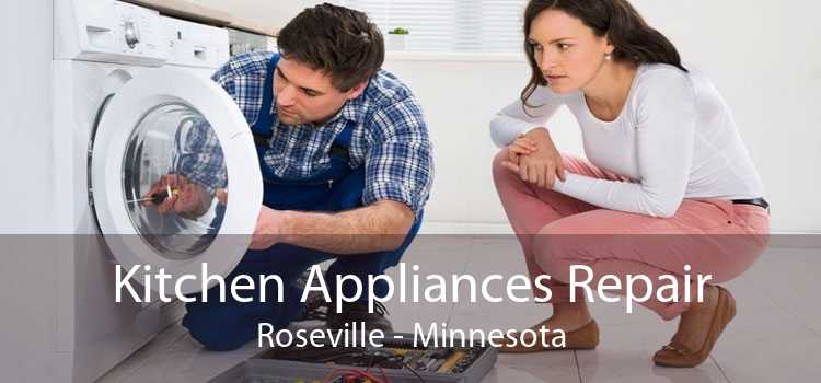Kitchen Appliances Repair Roseville - Minnesota