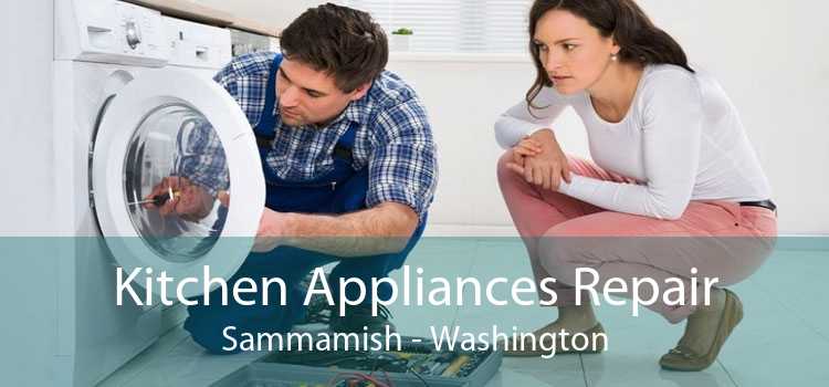 Kitchen Appliances Repair Sammamish - Washington