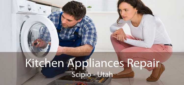 Kitchen Appliances Repair Scipio - Utah