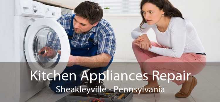 Kitchen Appliances Repair Sheakleyville - Pennsylvania