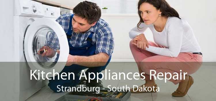 Kitchen Appliances Repair Strandburg - South Dakota