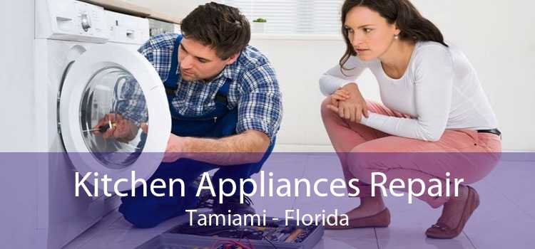 Kitchen Appliances Repair Tamiami - Florida