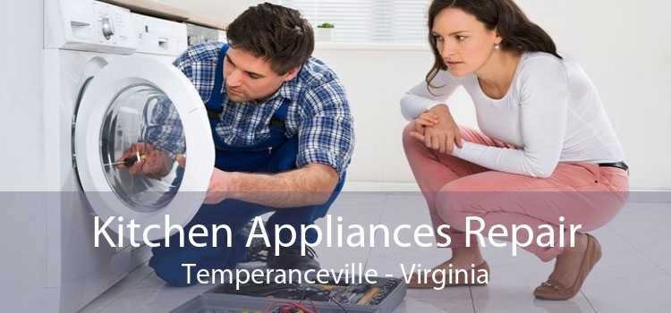 Kitchen Appliances Repair Temperanceville - Virginia
