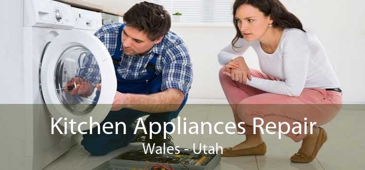 Kitchen Appliances Repair Wales - Utah