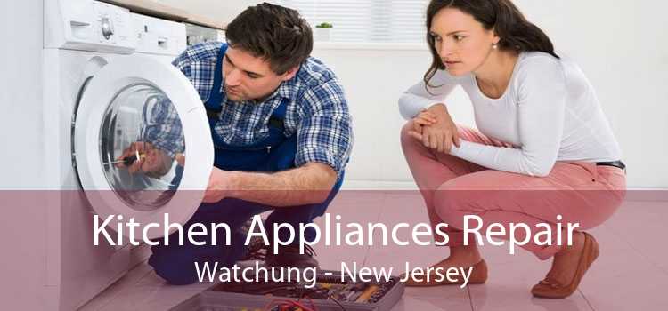 Kitchen Appliances Repair Watchung - New Jersey