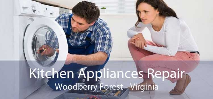 Kitchen Appliances Repair Woodberry Forest - Virginia