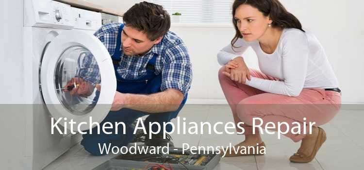 Kitchen Appliances Repair Woodward - Pennsylvania