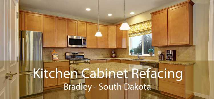 Kitchen Cabinet Refacing Bradley - South Dakota