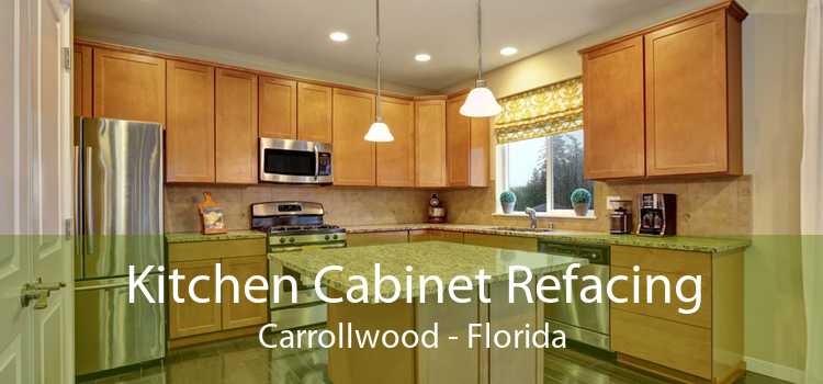 Kitchen Cabinet Refacing Carrollwood - Florida