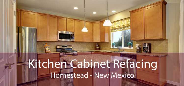 Kitchen Cabinet Refacing Homestead - New Mexico