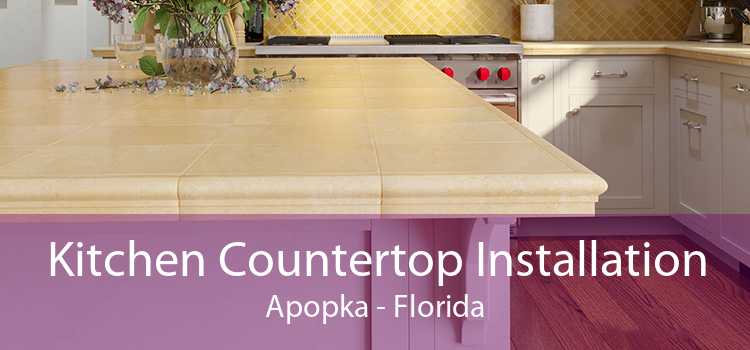 Kitchen Countertop Installation Apopka - Florida