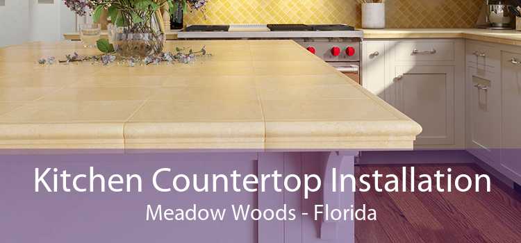 Kitchen Countertop Installation Meadow Woods - Florida