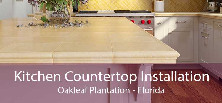 Kitchen Countertop Installation Oakleaf Plantation - Florida
