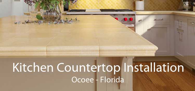 Kitchen Countertop Installation Ocoee - Florida