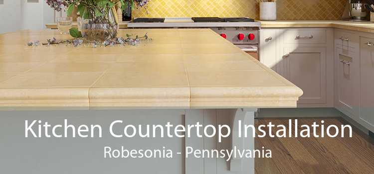 Kitchen Countertop Installation Robesonia - Pennsylvania