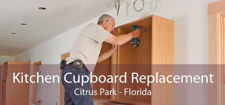 Kitchen Cupboard Replacement Citrus Park - Florida