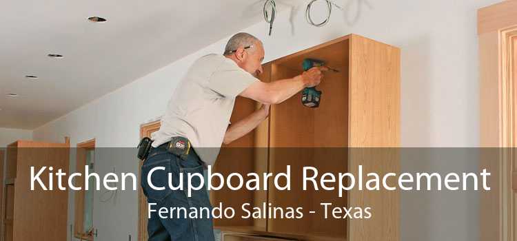 Kitchen Cupboard Replacement Fernando Salinas - Texas