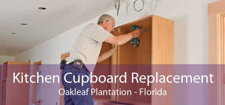 Kitchen Cupboard Replacement Oakleaf Plantation - Florida