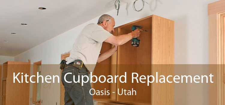 Kitchen Cupboard Replacement Oasis - Utah