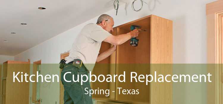 Kitchen Cupboard Replacement Spring - Texas