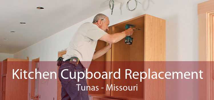 Kitchen Cupboard Replacement Tunas - Missouri