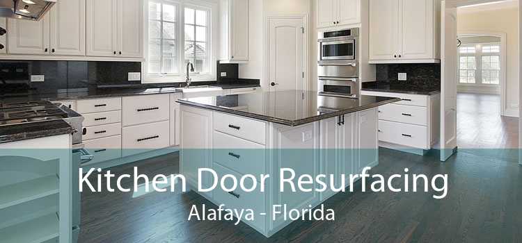Kitchen Door Resurfacing Alafaya - Florida