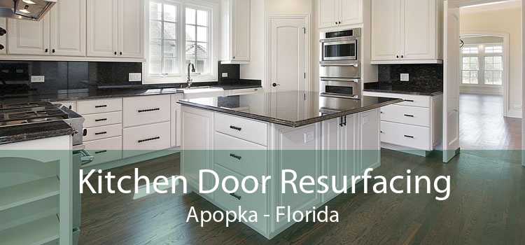 Kitchen Door Resurfacing Apopka - Florida