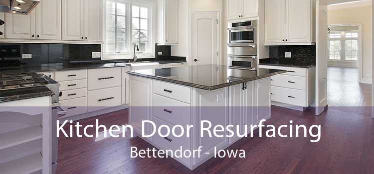 Kitchen Door Resurfacing Bettendorf - Iowa