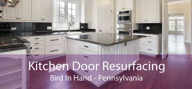 Kitchen Door Resurfacing Bird In Hand - Pennsylvania