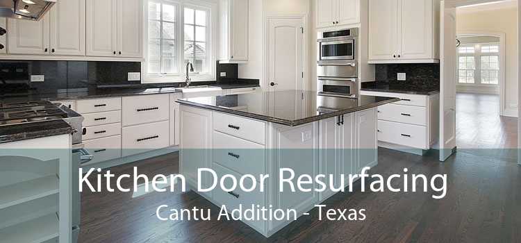 Kitchen Door Resurfacing Cantu Addition - Texas