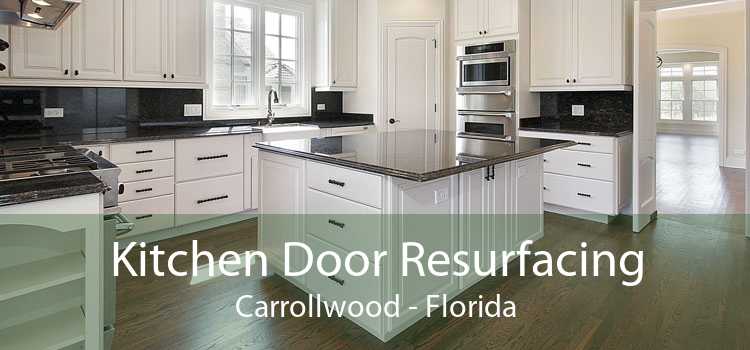Kitchen Door Resurfacing Carrollwood - Florida