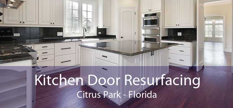 Kitchen Door Resurfacing Citrus Park - Florida