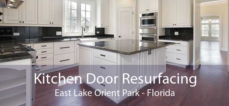 Kitchen Door Resurfacing East Lake Orient Park - Florida