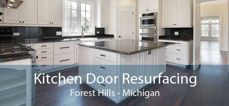 Kitchen Door Resurfacing Forest Hills - Michigan