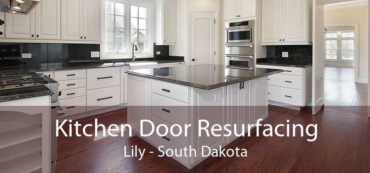 Kitchen Door Resurfacing Lily - South Dakota