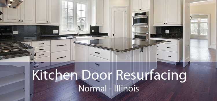 Kitchen Door Resurfacing Normal - Illinois