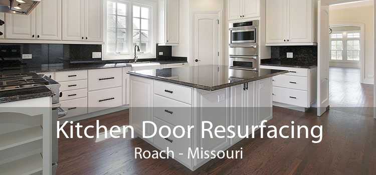 Kitchen Door Resurfacing Roach - Missouri