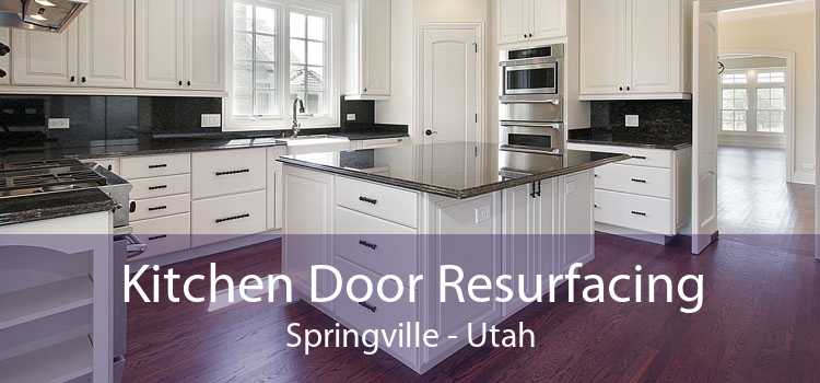 Kitchen Door Resurfacing Springville - Utah
