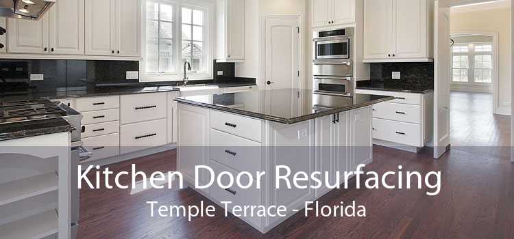 Kitchen Door Resurfacing Temple Terrace - Florida