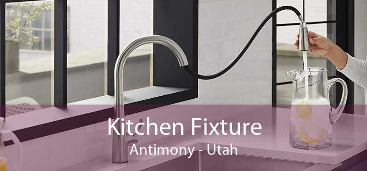 Kitchen Fixture Antimony - Utah