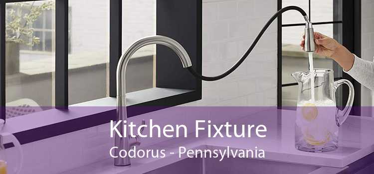 Kitchen Fixture Codorus - Pennsylvania