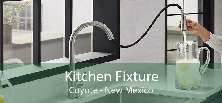 Kitchen Fixture Coyote - New Mexico