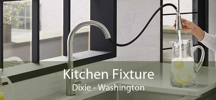 Kitchen Fixture Dixie - Washington