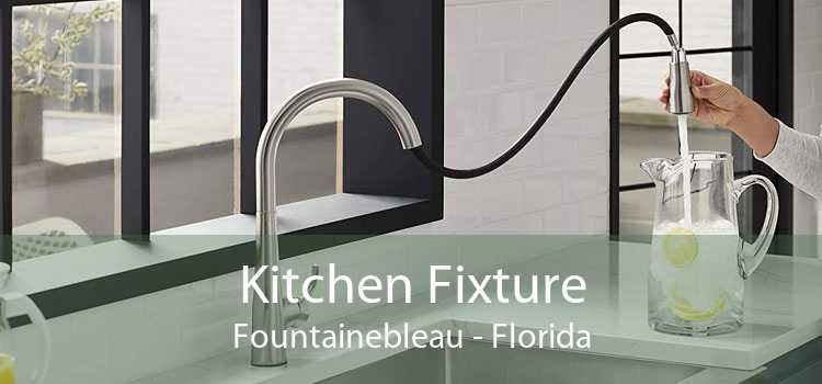 Kitchen Fixture Fountainebleau - Florida