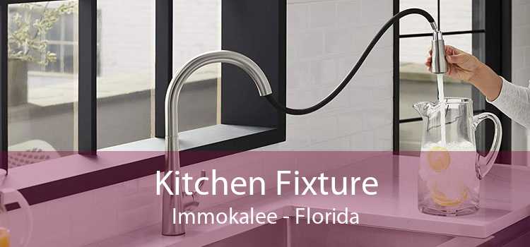 Kitchen Fixture Immokalee - Florida