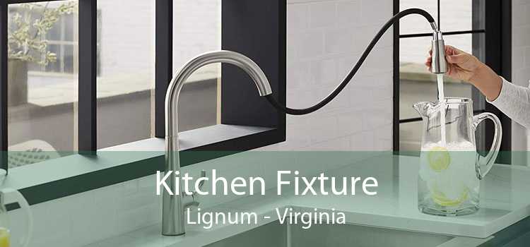 Kitchen Fixture Lignum - Virginia